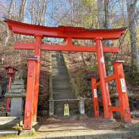 【長野】日本五大稲荷のひとつ！鼻顔稲荷神社