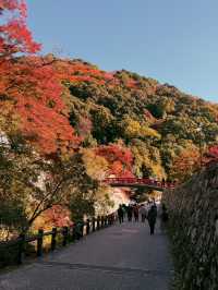 大阪｜近郊的世外桃源-箕面公園 紅葉季還能嚐炸楓葉