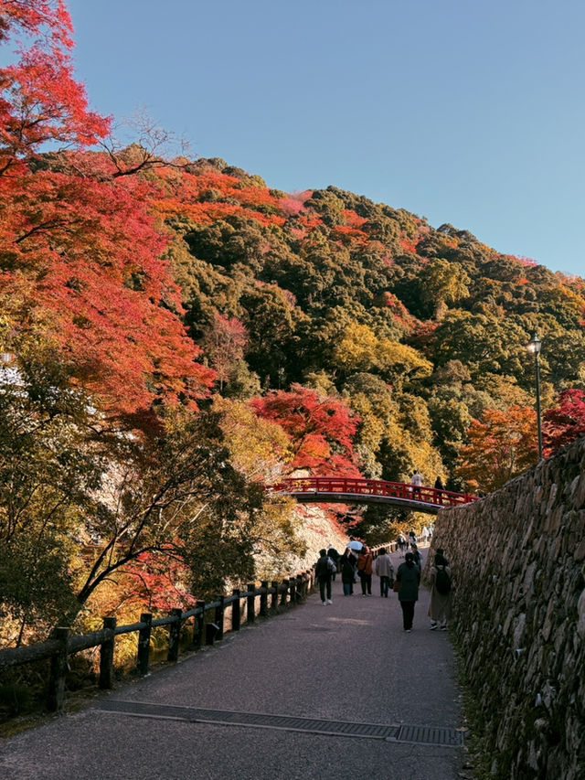 大阪｜近郊的世外桃源-箕面公園 紅葉季還能嚐炸楓葉