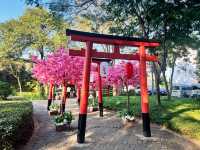 หมู่บ้านญี่ปุ่น Japanese Village อยุธยา