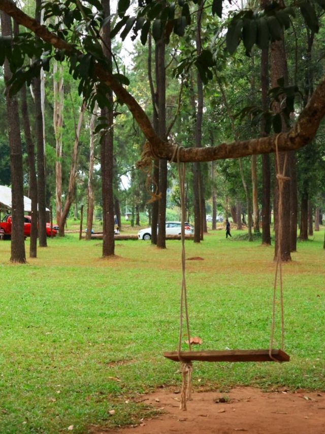 สวนสนแม่แตง ที่เที่ยวเชียงใหม่ จุดถ่ายรูปสุดฮิป