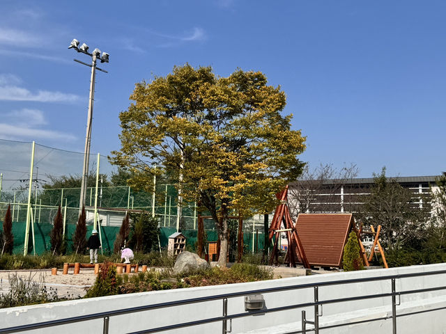 광주 자연과 친숙해지는 시간을 보낼 수 있는 도서관, 어린이생태학습도서관 