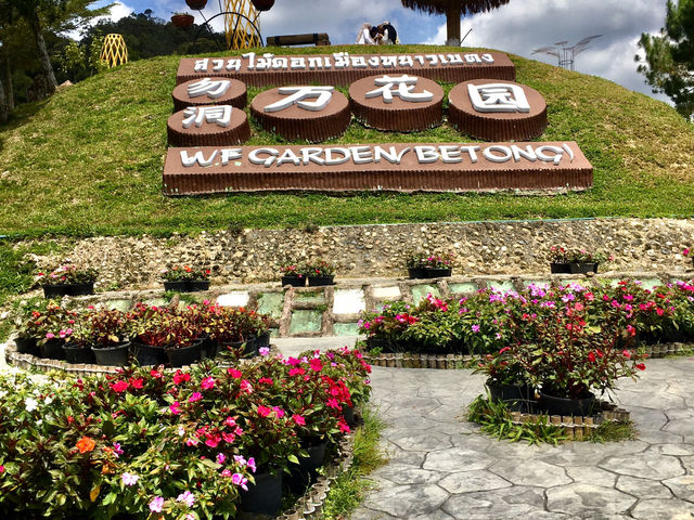 Betong Winter Flowers Garben