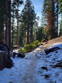 Kings Canyon stands as one of Australian