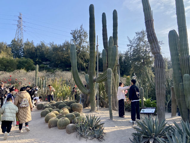 情人節好去處💕廈門園林植物園🌹🌵
