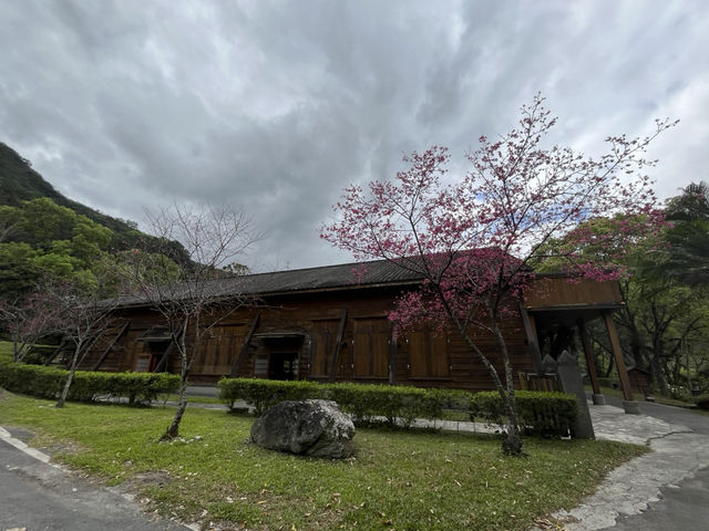 林田山文化園區～檜木芬多精滿滿的好地方