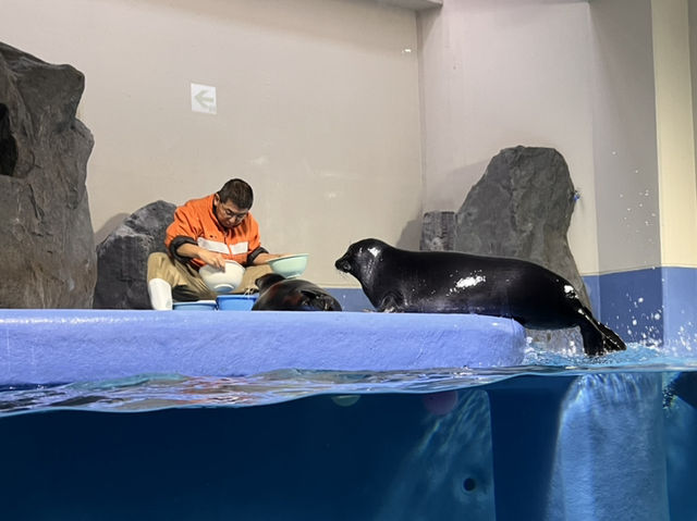 鳥羽水族館@三重県・鳥羽🐠