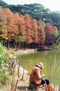 Urban Oasis in Shenzhen — The Lianhuashan Park