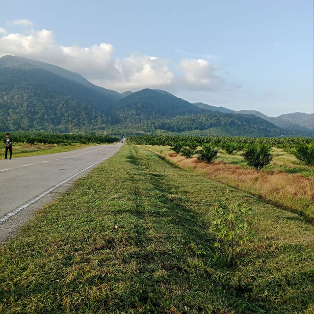 Conquering Gunung Ledang: A Mystical Malaysian Trek⛰️