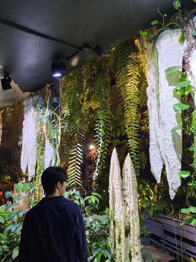 📍Cloud Forest