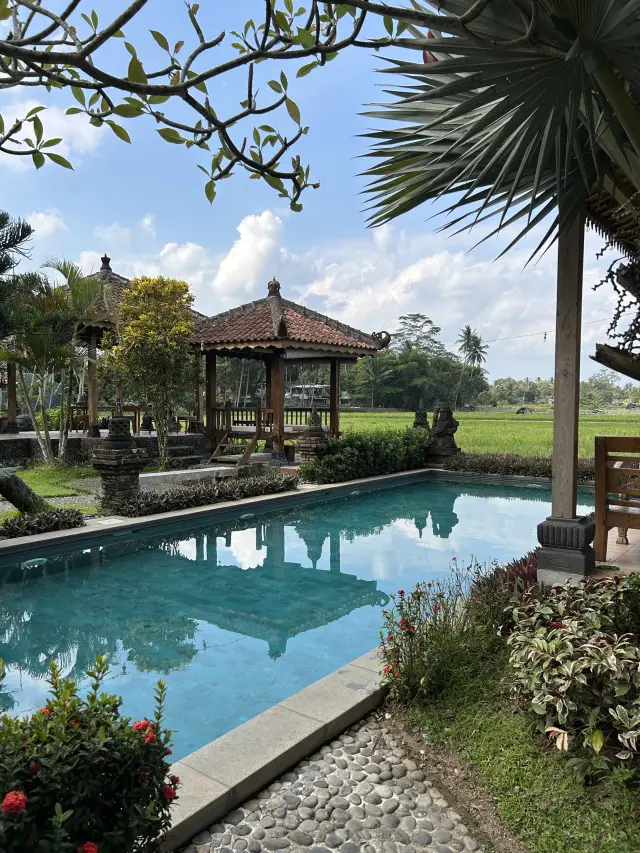 Borobudur: Rumadharma Stay Report