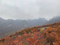 Pofeng Ridge 坡峰岭 is a Hidden Gem for Hikers 🌿🏞️