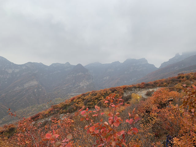 Pofeng Ridge 坡峰岭 is a Hidden Gem for Hikers 🌿🏞️