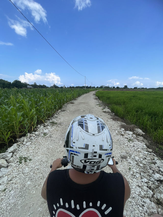 The Road to Waikuri Beach: A Drive Through Sumba’s Countryside