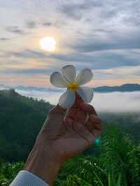 ลานกางเต็นท์ ดอยดึงดาว - พังงา