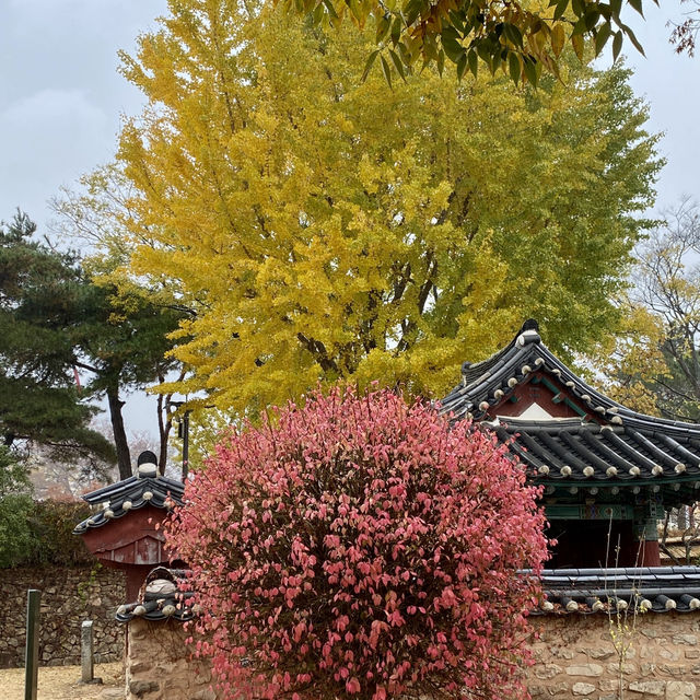 전라도 순천 꼭 가볼만한 곳 추천 ▪️순천 낙안읍성
