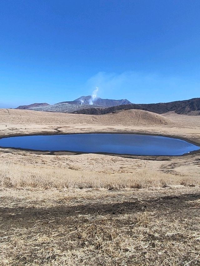 金黃草地的草千里之濱(阿蘇火山)
