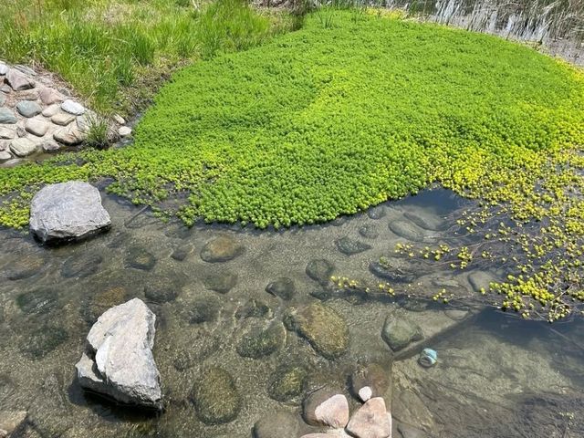 人工ため池だけど海外みたいに美しい