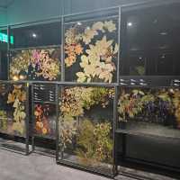【台北】定期推出不同主題的科學特展，每次展覽都極具教育與娛樂性。