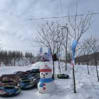 My 7 day in Harbin, China 🥶☃️❄️