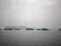 Ha Long Bay: Island Hopping & Cave Discoveries