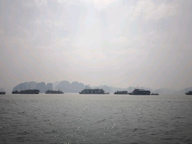 Ha Long Bay: Island Hopping & Cave Discoveries