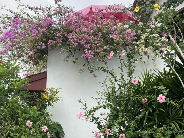 Summer Rain - Cafe & Casual Dining  🍵🌧️