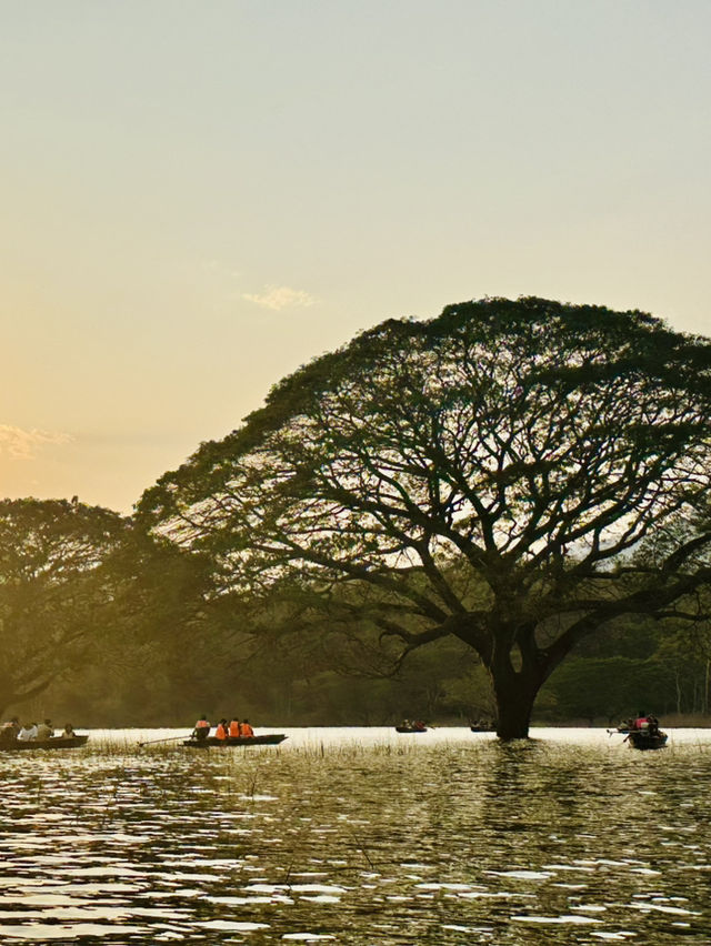 Unseen Chiangmai
