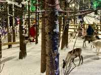 Meet the Reindeer at China Snow Town