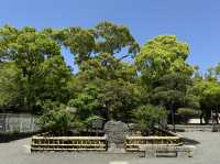 Explore the Serenity of Tsurugaoka Hachimangu in Kamakura
