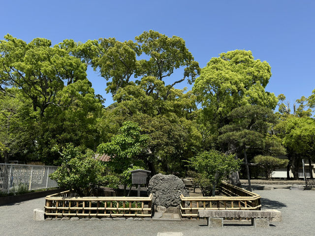 Explore the Serenity of Tsurugaoka Hachimangu in Kamakura