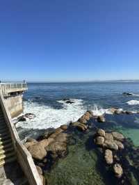 Monterey Bay Aquarium