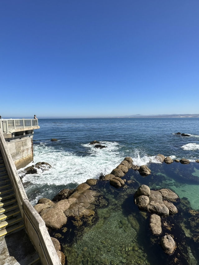 Monterey Bay Aquarium