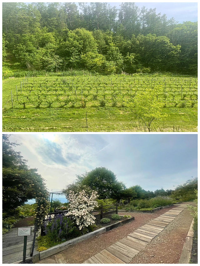【長野/東卸】美しいワイナリーの絶景‼︎＊ヴィラデスト ガーデンファーム アンド ワイナリー＊