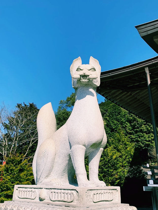 絶景とご利益を同時に楽しめる！鏡山神社⛩✨