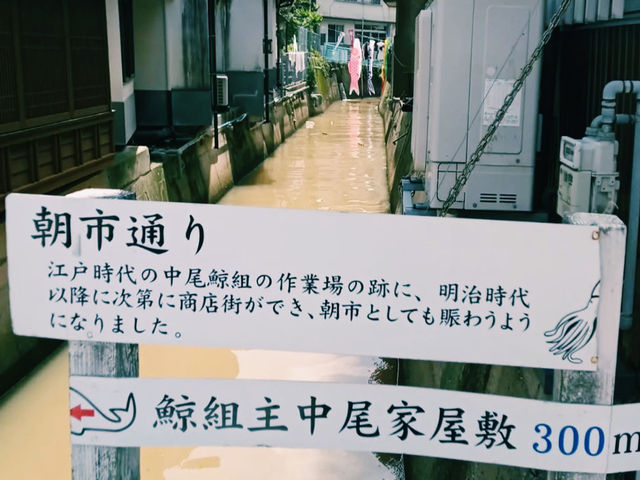 新鮮な海の幸がずらり🐟活気あふれる呼子の朝市！