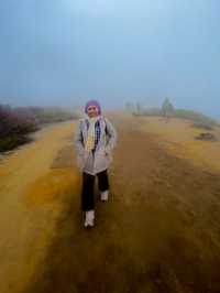 Hiking Kawah Ijen, Surabaya 😍