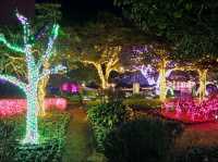 A night visit to Jeju Herb Land