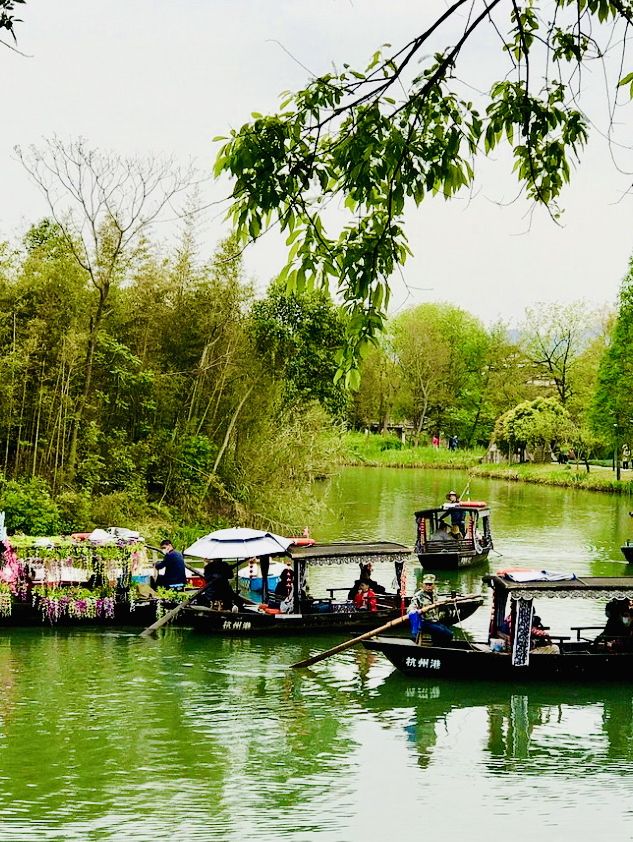 Wetland Wonders: Xixi Wetland Park, Hangzhou