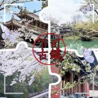 下司古鎮•古鎮櫻遇 