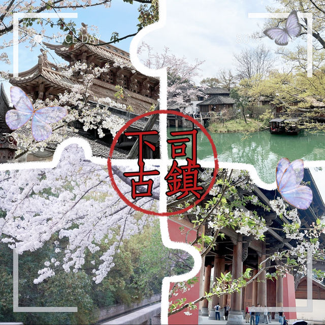 下司古鎮•古鎮櫻遇 