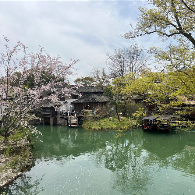 下司古鎮•古鎮櫻遇 