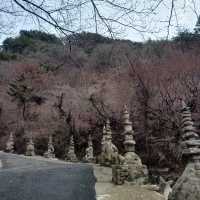 전설 속 세계, 고성 구절산 트레킹