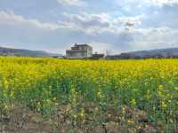Damoyu Village: A Tranquil Escape in Yunnan’s Hidden Valley