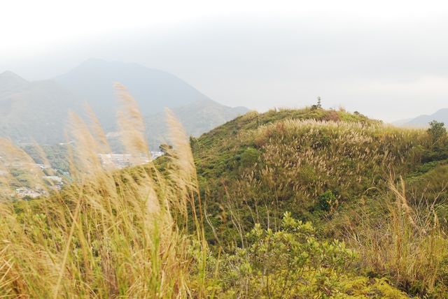 From Sheung Shui to Fanling — Wah Shan Military Path Hike