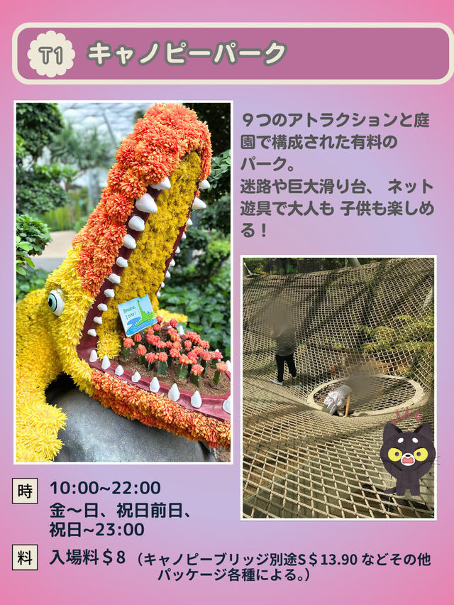 【シンガポール】チャンギ空港がスゴイ！