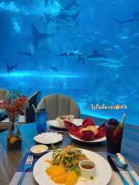 รีวิวร้านอาหารอควาเรี่ยมใน Phuquoc, Vietnam 🇻🇳🐡