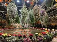 สวนดอกบ๊วย Nabana No Sato