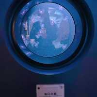 四國香川縣｜高松市內絕美「四國水族館」