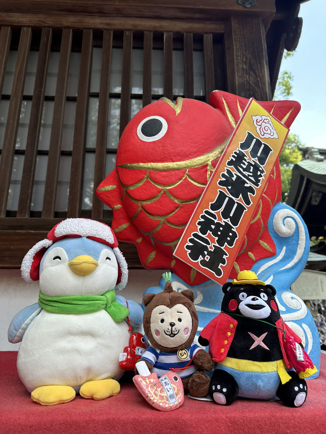 掘蕃薯釣鯛魚護身符的川越冰川神社⛩️🥰